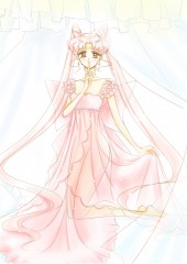 Princess Serenity Manga